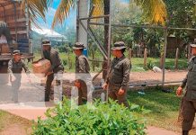 Foto: Ejército de Nicaragua garantiza logística para alimentación escolar/TN8