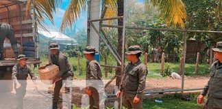 Foto: Ejército de Nicaragua garantiza logística para alimentación escolar/TN8