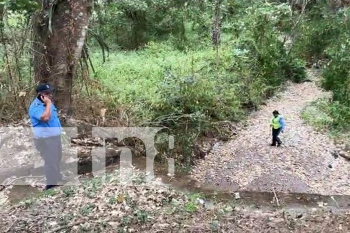 Foto: Muere al caer de un puente en la carretera a Camoapa /TN8 Foto: Muere al caer de un puente en la carretera a Camoapa /TN8