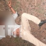 Foto: ¿Animales sueltos en la carretera?/TN8