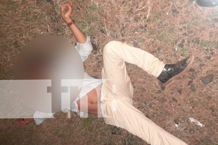 Foto: ¿Animales sueltos en la carretera?/TN8