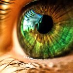 «Olo»: Investigadores descubren un nuevo color «invisible» al ojo humano Foto: Descubren un nuevo color gracias a la tecnología láser /Cortesía