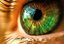 Foto: Descubren un nuevo color gracias a la tecnología láser /Cortesía