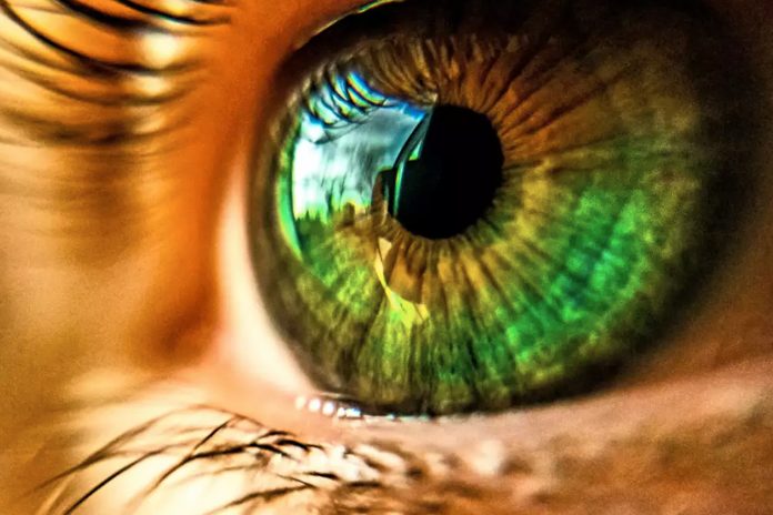 Foto: Descubren un nuevo color gracias a la tecnología láser /Cortesía