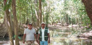 Foto: MARENA refuerza prácticas ambientales con jornadas de reforestación/Cortesía