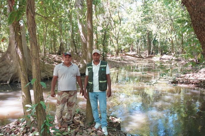Foto: MARENA refuerza prácticas ambientales con jornadas de reforestación/Cortesía