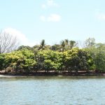 MARENA establecerá viveros forestales en Isla El Arena para preservar su riqueza Foto: MARENA promueve el turismo verde/Cortesía