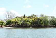 MARENA establecerá viveros forestales en Isla El Arena para preservar su riqueza Foto: MARENA promueve el turismo verde/Cortesía