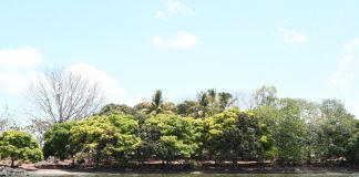 Foto: MARENA promueve el turismo verde/Cortesía