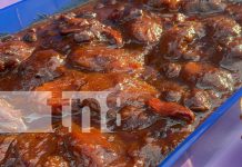 Foto: Más de 500 personas degustaron del almíbar en Chinandega /TN8
