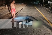 ¡Sin casco! Grave accidente en Ometepe deja dos jóvenes heridos Foto: Un lesionado grave deja accidente en la Isla de Ometepe/TN8