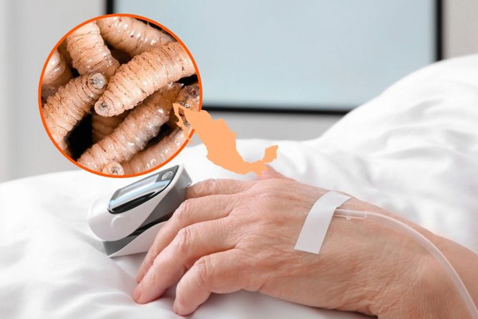 Foto: México en alerta tras impactante caso de infección/Cortesía