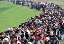 Trump planea expulsar a un millón de indocumentados este 2025 Foto: Trump planea deportar a un millón de indocumentados en el 2025 /Cortesía