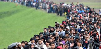Foto: Trump planea deportar a un millón de indocumentados en el 2025 /Cortesía