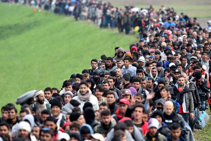 Foto: Trump planea deportar a un millón de indocumentados en el 2025 /Cortesía