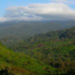 Bosawás y más allá: Nicaragua refuerza la defensa de sus tesoros naturales Foto: Reserva Natural Bosawás