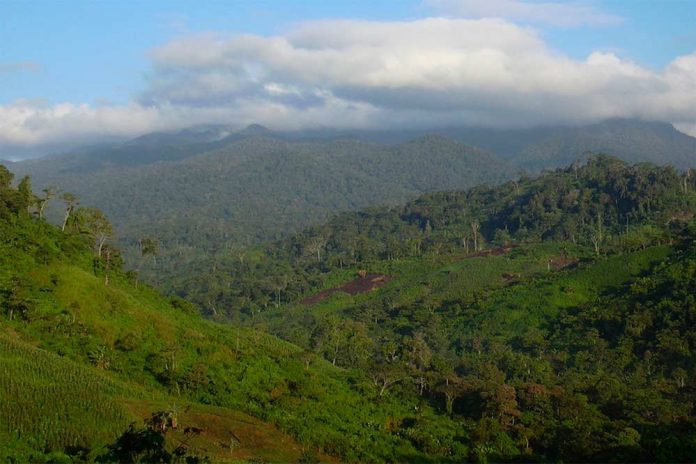 Foto: Reserva Natural Bosawás Foto: Reserva Natural Bosawás