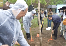 Siembra de amistad: China y América Latina plantan árboles por un futuro verde Foto: Relaciones China-América Latina echan raíces con acto simbólico en Beijing