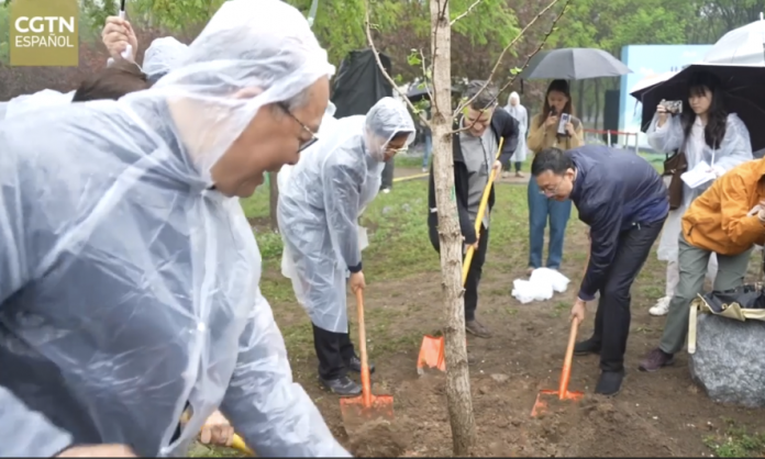 Foto: Relaciones China-América Latina echan raíces con acto simbólico en Beijing Foto: Relaciones China-América Latina echan raíces con acto simbólico en Beijing