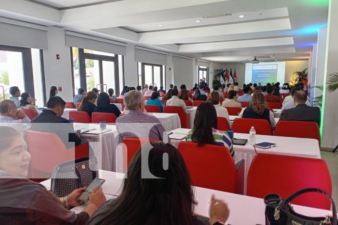 Foto: Nicaragua fortalece su economía creativa con derechos intelectuales /TN8 Foto: Nicaragua fortalece su economía creativa con derechos intelectuales /TN8