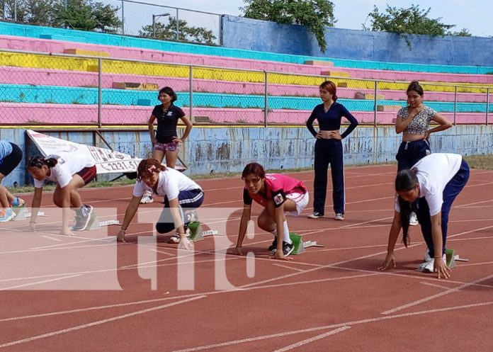 Foto: Festival de Atletismo Escolar / TN8