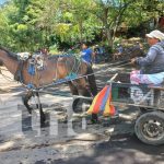 Managua impulsa jornada ambiental y veterinaria para carretoneros Foto: Capacitación para carretoneros de Managua / TN8