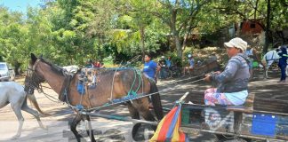 Foto: Capacitación para carretoneros de Managua / TN8