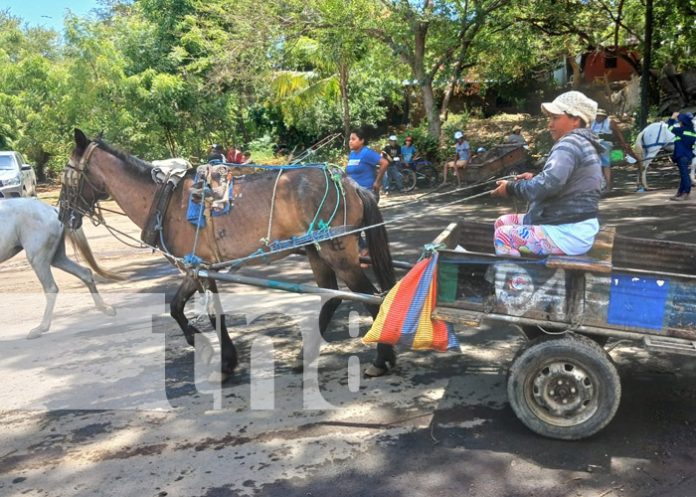 Foto: Capacitación para carretoneros de Managua / TN8