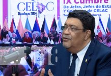 Nicaragua defiende los principios fundacionales de la CELAC: No podíamos ir para atrás Foto: El papel de Nicaragua en la CELAC, análisis en Estudio TN8