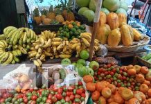 Foto: Mercados con frutas y verduras de verano / TN8