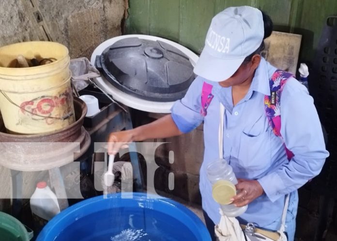Foto: Fumigación y abatización en el barrio Ayapal, Managua / TN8