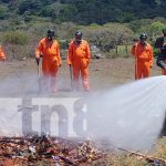 Lanzamiento nacional del plan para evitar incendios forestales en Madriz Foto: Prevención de incendios forestales desde Madriz / TN8