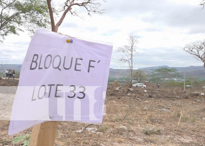 Foto: Lotes de terreno para viviendas en Estelí / TN8 Foto: Lotes de terreno para viviendas en Estelí / TN8