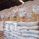 MINED inicia segunda distribución de Merienda Escolar en colegios de Nicaragua Foto: Segunda entrega de Merienda Escolar en Nicaragua /TN8