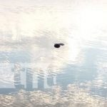 Lo dejaron solo: hombre muere ahogado en la Laguna de Masaya Foto: Muerte de sujeto en la Laguna de Masaya / TN8