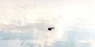 Foto: Muerte de sujeto en la Laguna de Masaya / TN8