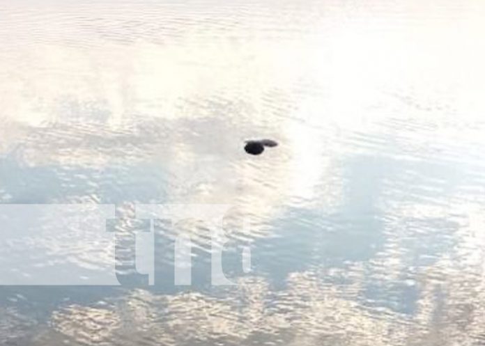 Foto: Muerte de sujeto en la Laguna de Masaya / TN8