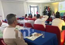 Lanzan en Nicaragua el Premio Nacional a la Producción Más Limpia 2025 Foto: Lanzamiento a la Producción Más Limpia en Nicaragua / TN8