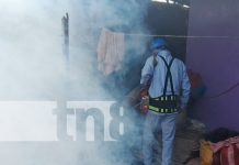 Foto: Fumigación en barrios de Managua / TN8