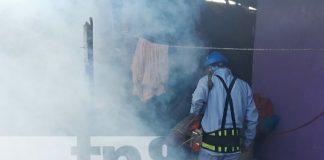 Foto: Fumigación en barrios de Managua / TN8