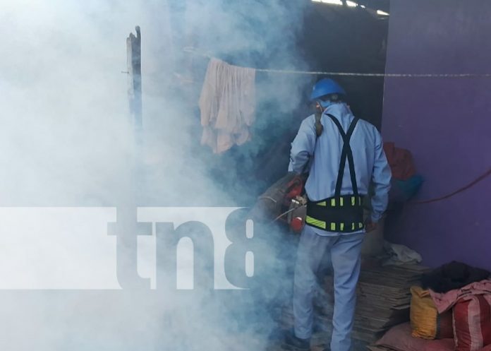 Foto: Fumigación en barrios de Managua / TN8