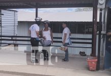 La pana salvadora: Comerciante se salva de la muerte al caer de un bus en Estelí Foto: Comerciante de Estelí se salva de morir al caerse de un bus / TN8