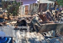 Foto: Pérdidas totales tras incendio en un barrio de Managua / TN8