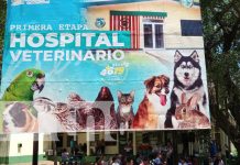 Inauguran primera etapa del Hospital Veterinario Público de Nicaragua Foto: Primera etapa del Hospital Veterinario en Nicaragua / TN8