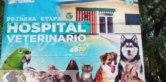 Foto: Primera etapa del Hospital Veterinario en Nicaragua / TN8
