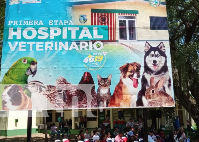 Foto: Primera etapa del Hospital Veterinario en Nicaragua / TN8