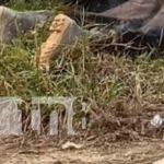 Tragedia en Waspam: Padre e hijo fallecen por descarga eléctrica Foto: Padre e hijo mueren por descarga eléctrica en Waspam, Caribe Norte / TN8