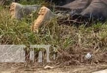 Foto: Padre e hijo mueren por descarga eléctrica en Waspam, Caribe Norte / TN8