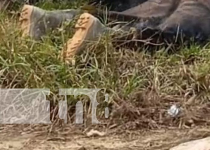 Foto: Padre e hijo mueren por descarga eléctrica en Waspam, Caribe Norte / TN8 Foto: Padre e hijo mueren por descarga eléctrica en Waspam, Caribe Norte / TN8
