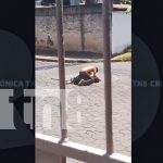Pelea callejera en Managua termina con heridos y videos virales Foto: Pelea callejera en Managua termina con heridos y videos virales/ TN8